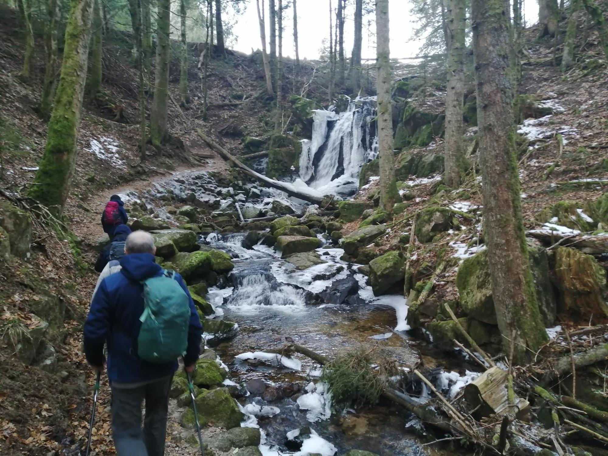 Blackforest Perla Höchenschwand Zewnętrze zdjęcie