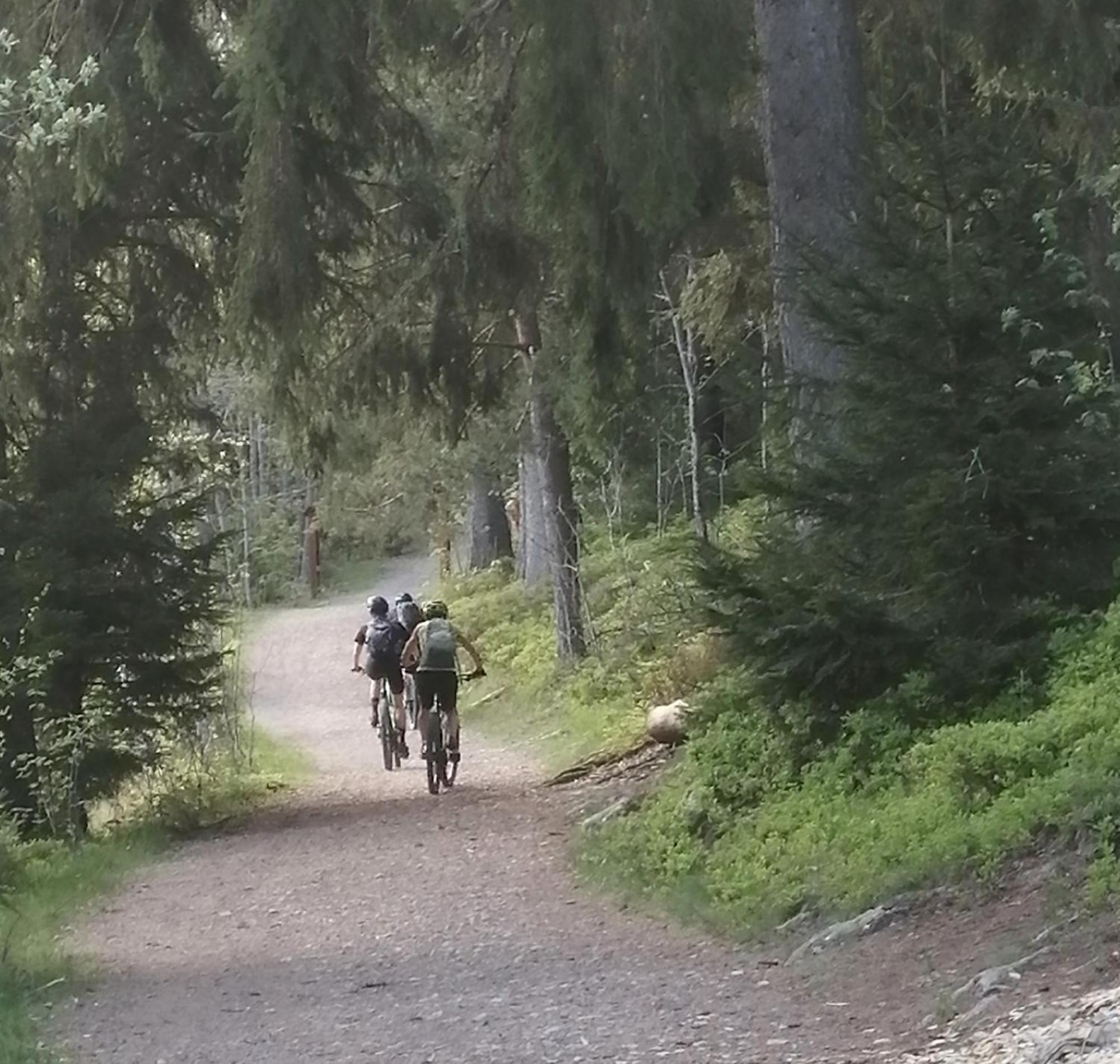 Blackforest Perla Höchenschwand Zewnętrze zdjęcie